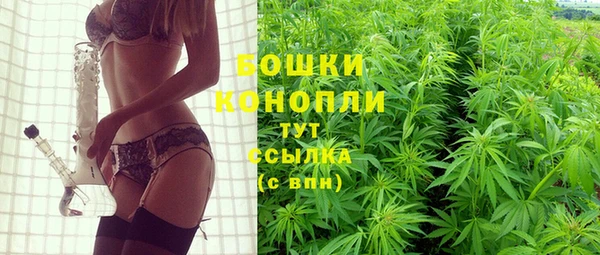 хмурый Балабаново