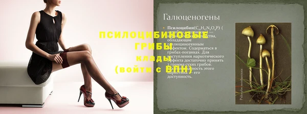 ешки Балахна