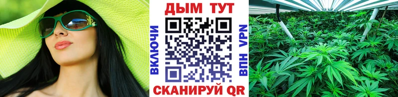 магазин продажи наркотиков  Ладушкин  Марихуана тримм 